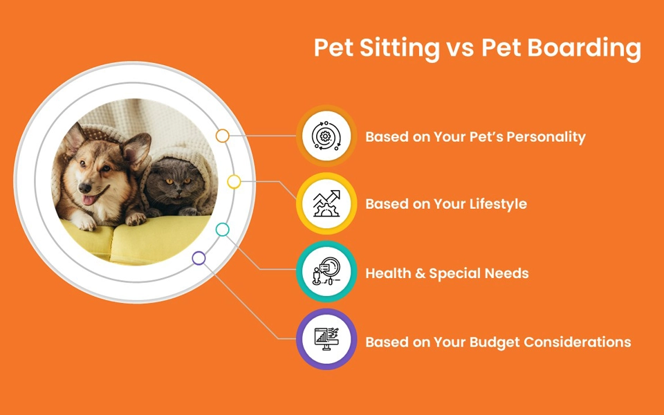 Illustration comparing pet sitting and pet boarding in Abu Dhabi, showing 4 key factors that influence the choice for pet owners