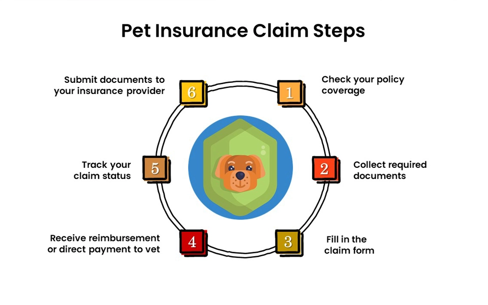 infographic showing steps to claim pet insurance