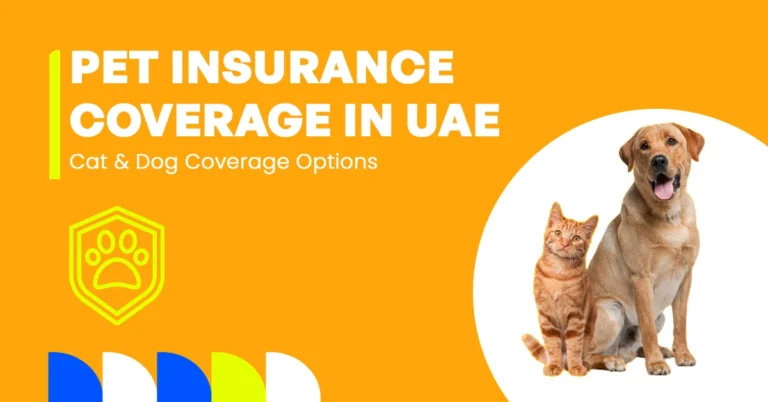 Pet Insurance For Cat & Dog in UAE