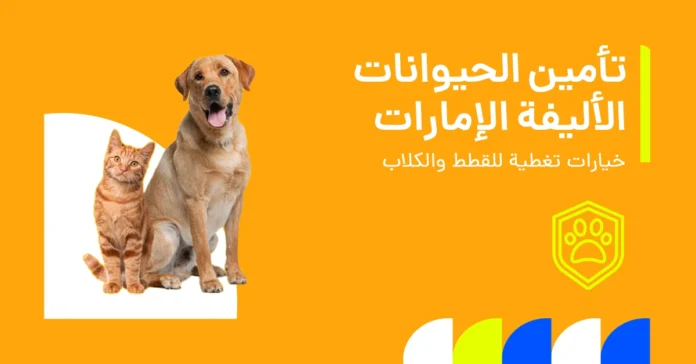 تأمين الحيوانات الأليفة في الإمارات