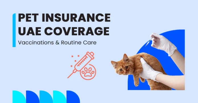 veterinarian giving vaccination to a cat as part of routine pet insurance cover