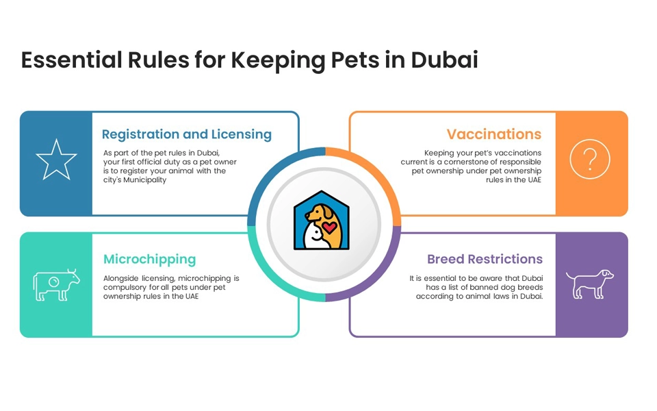 infographic showing mandatory requirements for pet ownership in dubai