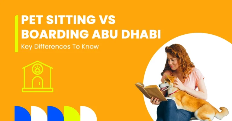 Comparison of pet sitting and pet boarding in Abu Dhabi showing differences in care for cats and dogs