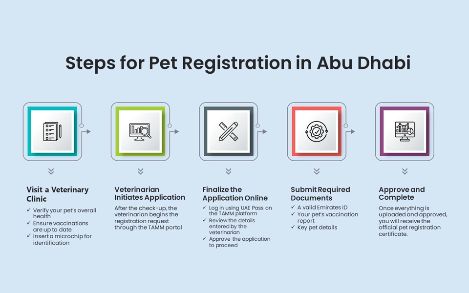 infographic showing step by step pet registration process