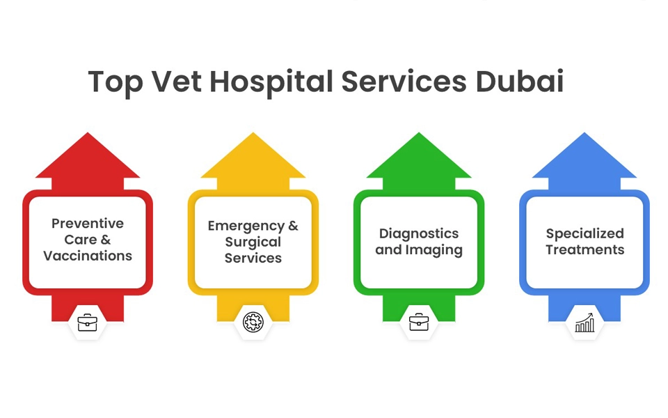 infographic showing services offered at top veterinary hospitals in dubai