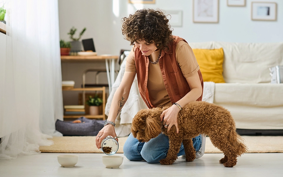 Pet sitter in Abu Dhabi taking care of a dog and cat at home, showing personalized pet care service