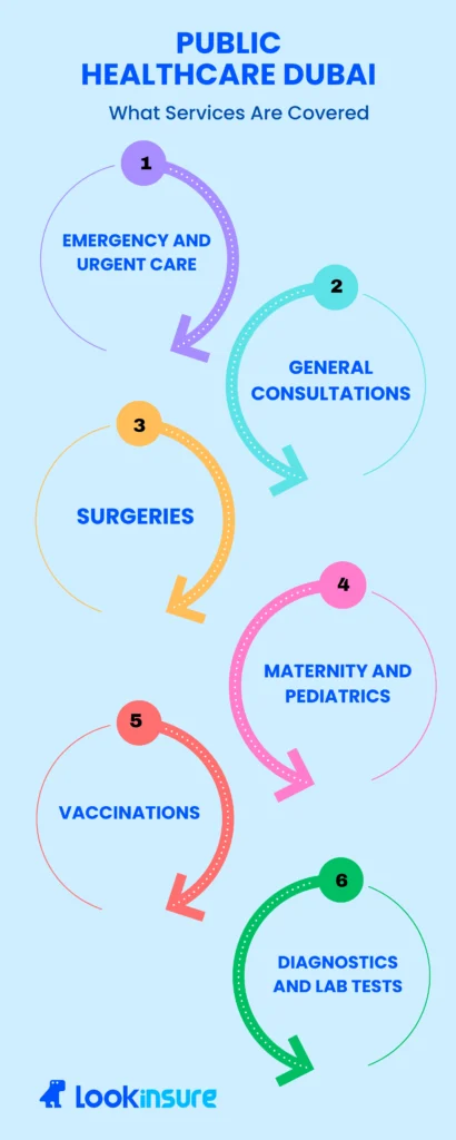 Infographic showing public healthcare services in Dubai, including emergency care, consultations, surgeries, maternity, vaccinations, and lab tests.
