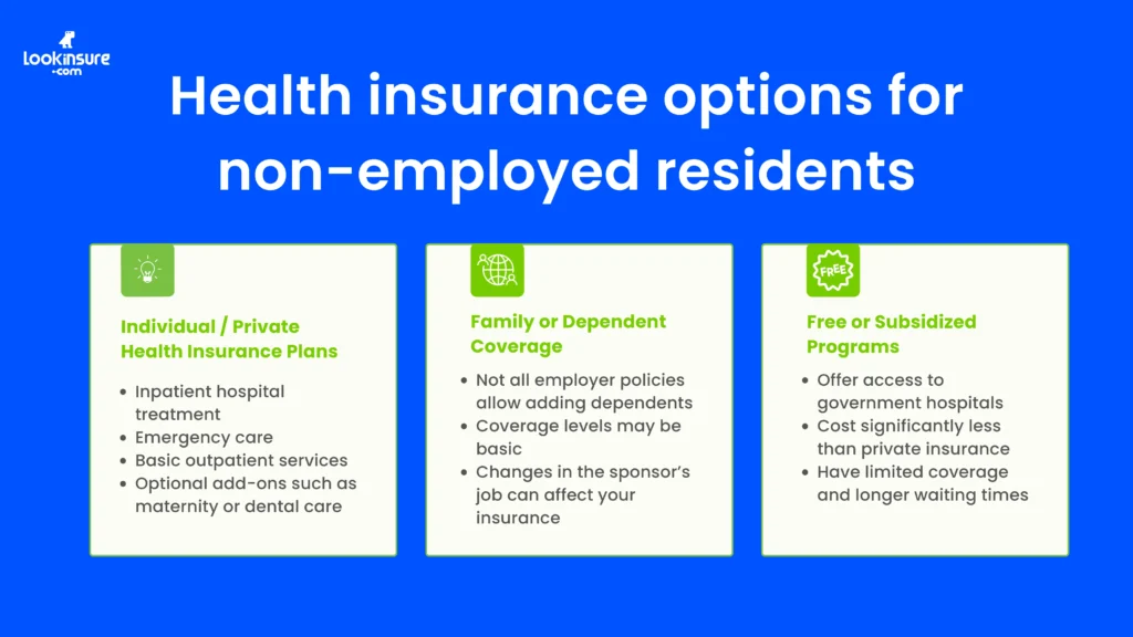 Infographic showing health insurance options for non-employed residents, including private plans, dependent coverage, and government programs.