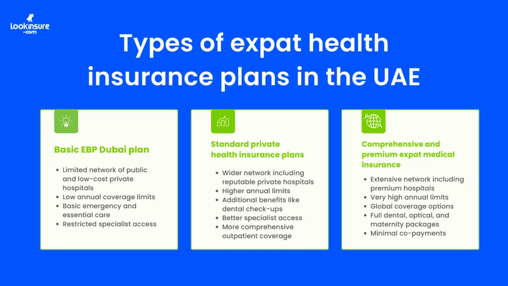 The infographic shows the types of health insurance plans available for expats in the UAE.