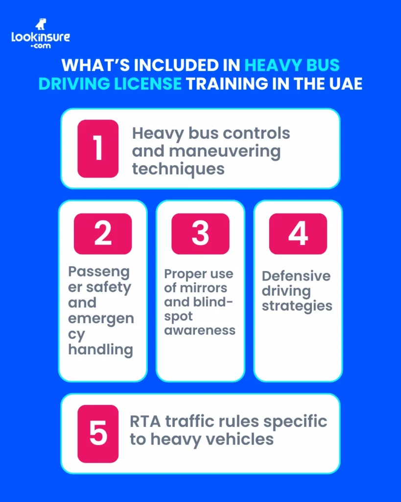 The infographic shows what is included in heavy bus driving license training in the UAE.