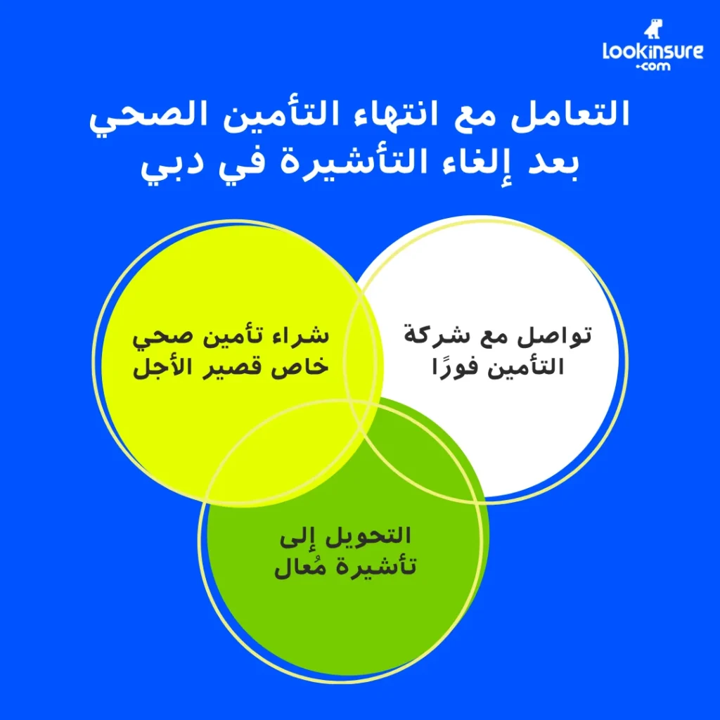 في هذا الإنفوغرافيك يُظهر طرق التعامل مع انتهاء التأمين الصحي بعد إلغاء التأشيرة في دبي، مع توضيح الخيارات المتاحة للحفاظ على التغطية الصحية.