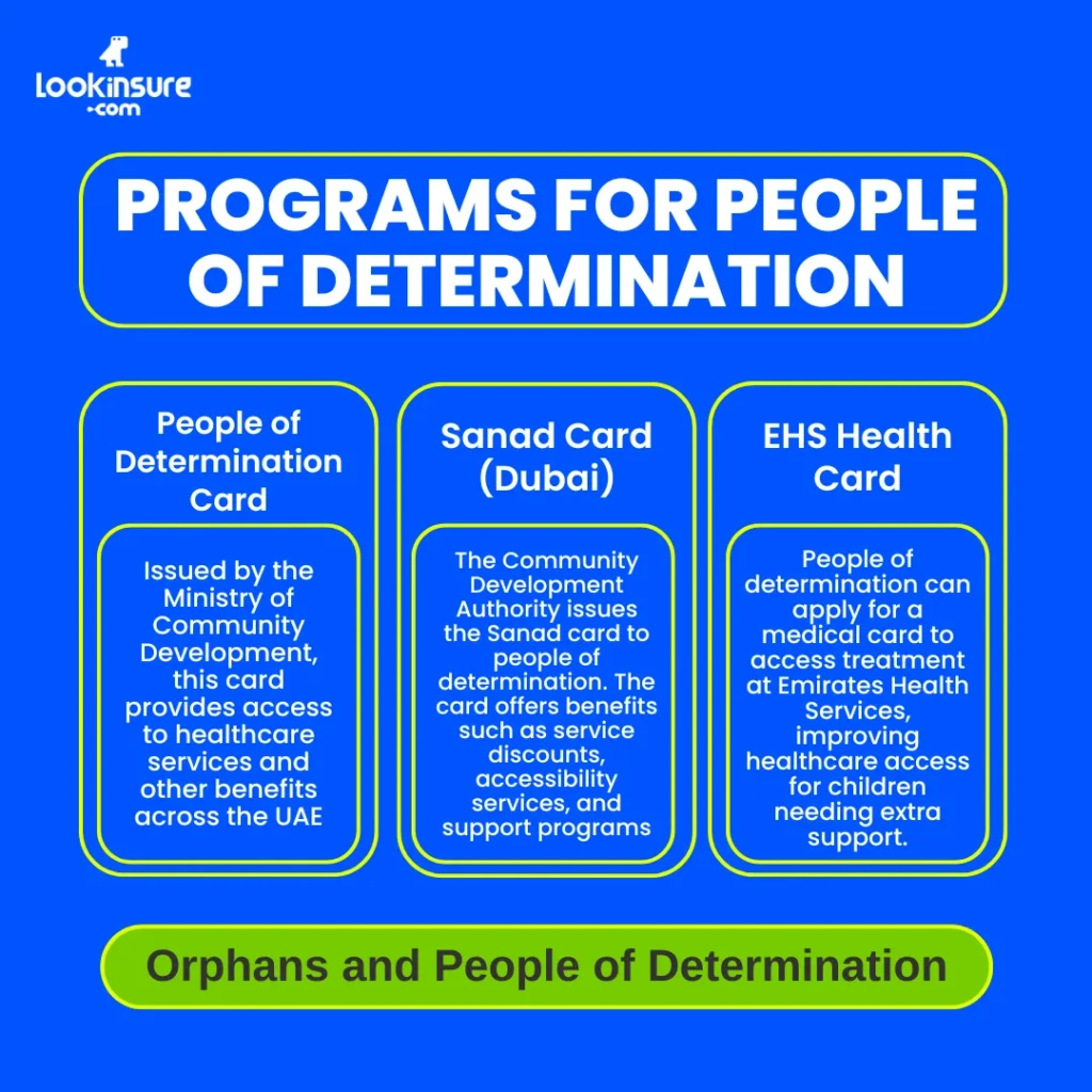 In this infographic, it shows government programs supporting people of determination, including healthcare services, medical cards, and social support initiatives.