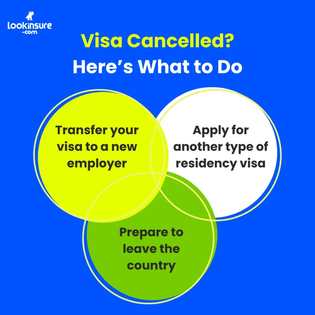 In this infographic, it shows the key steps to take after a visa is cancelled, including understanding legal status, health insurance options, and available next steps for residents.