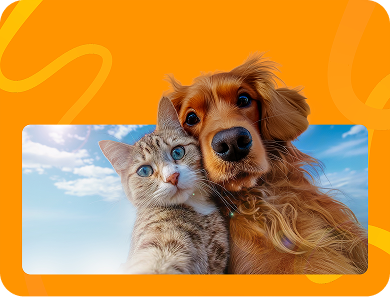 Pet Insurance articles