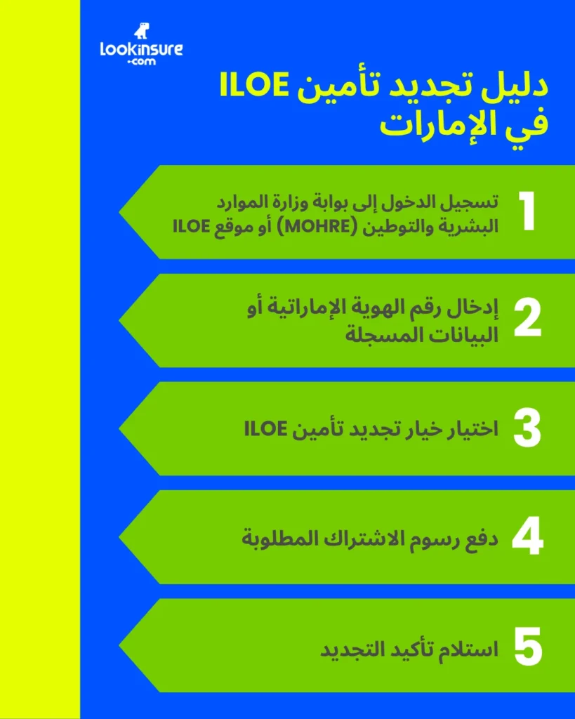في هذا الإنفوغرافيك يُظهر خطوات تجديد تأمين ILOE في الإمارات، بما يشمل التحقق من الأهلية وطرق الدفع وإجراءات التجديد.