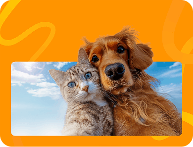 Pet Insurance Blog